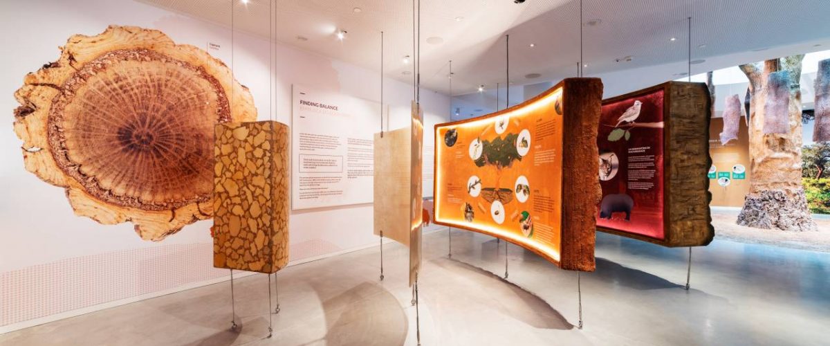 Kork-Ausstellungsstücke Planet Cork