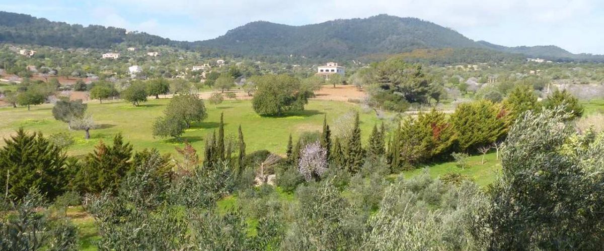 Landschaft bei S'Horta auf Mallorca