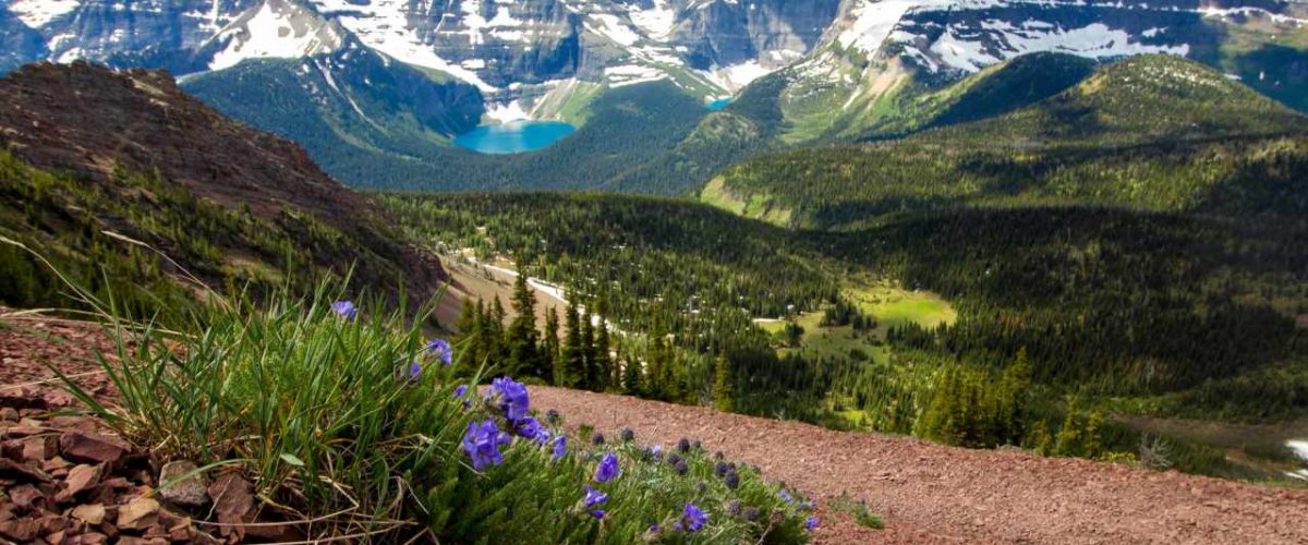 Landschaft mit Bergsee im Waterton Lakes National Park