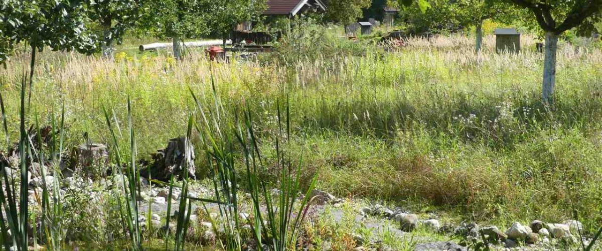 Lebensraum für Insekten im Umweltgarten Wiesmühl