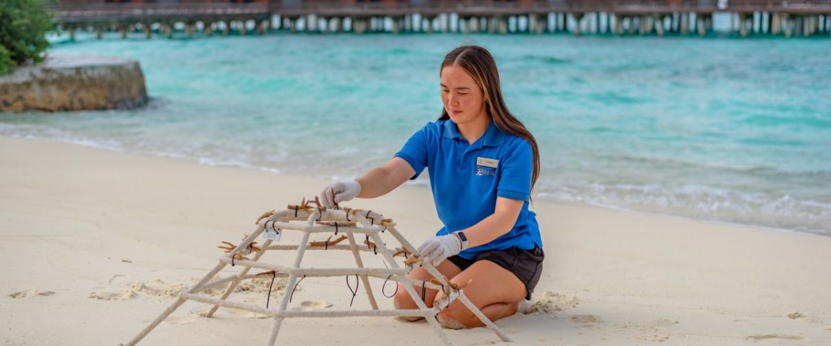 Meeresbiologin Katelyn Hegarty-Kelly Adopt a Coral