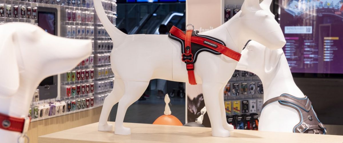 MyFamily-Hundegeschirr am Flughafen Düsseldorf