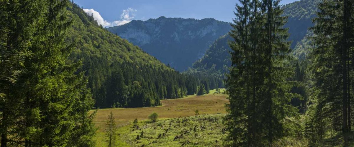 Natur pur im Chiemgau