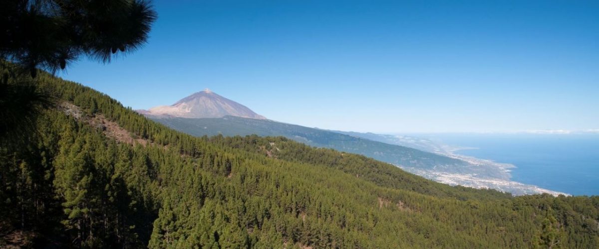 Naturpark Corona Forestal mit dem Teide