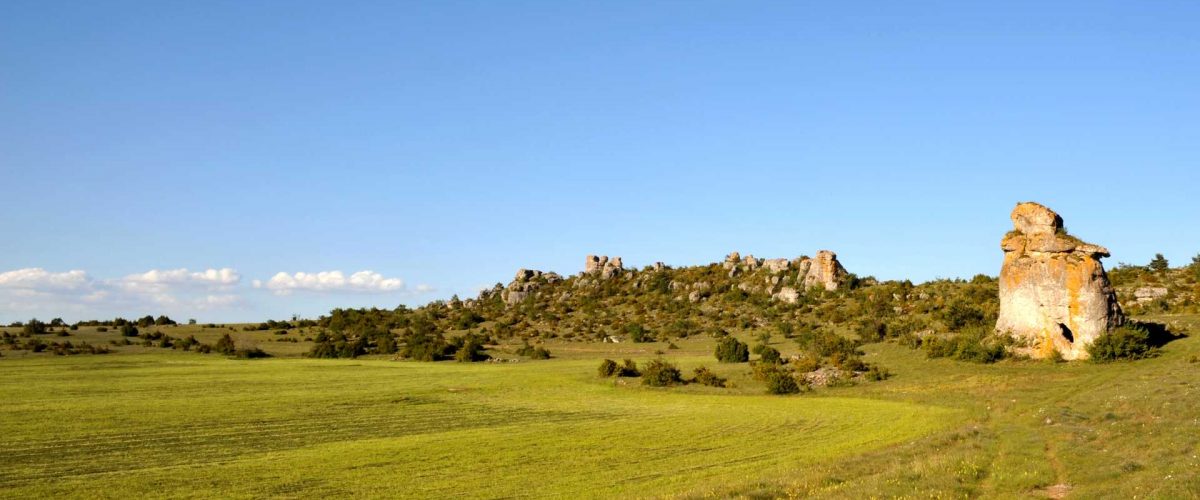 Naturpark Grands Causses in Okzitanien (Occitanie)