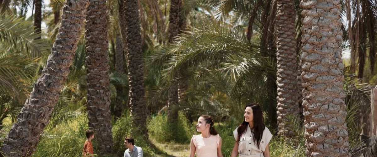 Palmen und Pflanzen Oase Al Ain