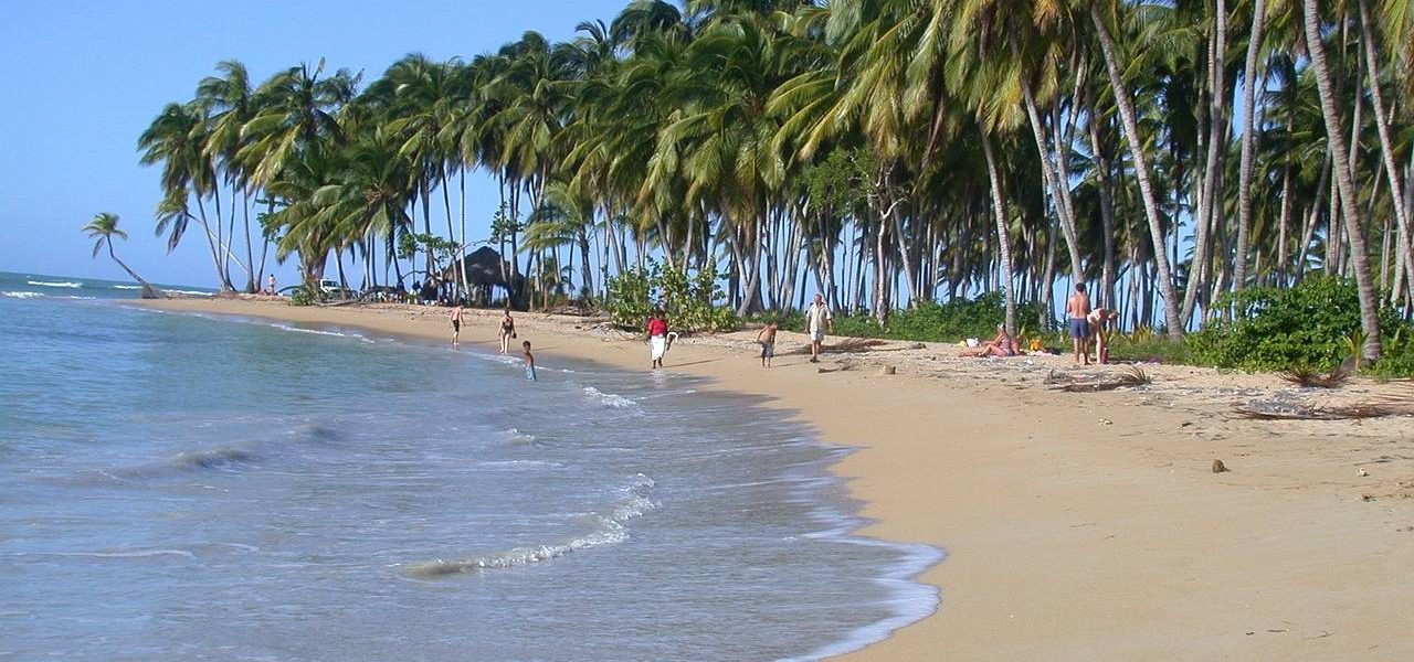 Palmenstrand Dominikanische Republik