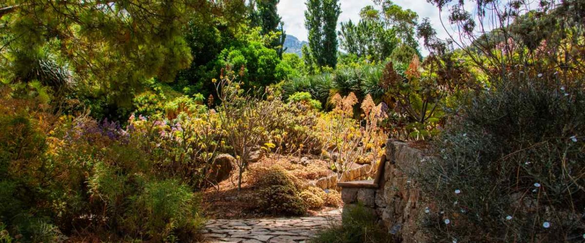 Pflanzenvielfalt im Botanischen Garten von Soller