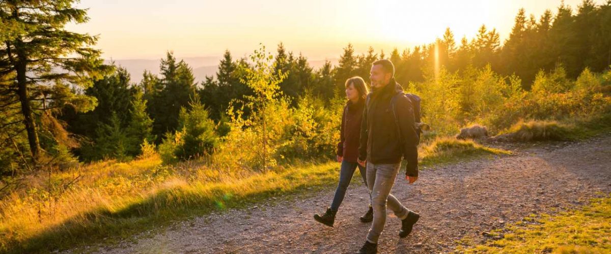 Plänckners Aussicht Rennsteig