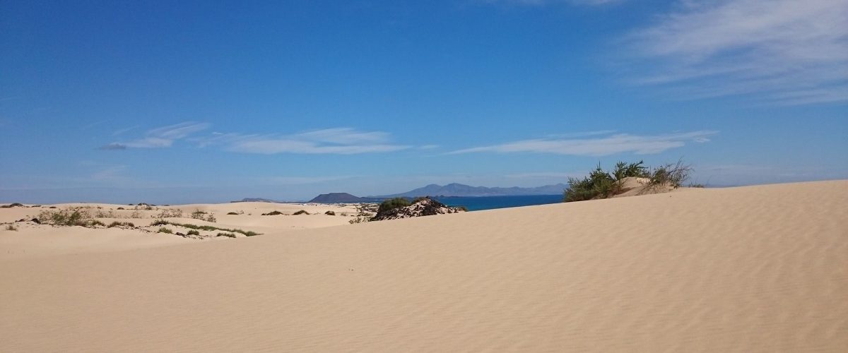 Playa Corralejo Sand und Dünen