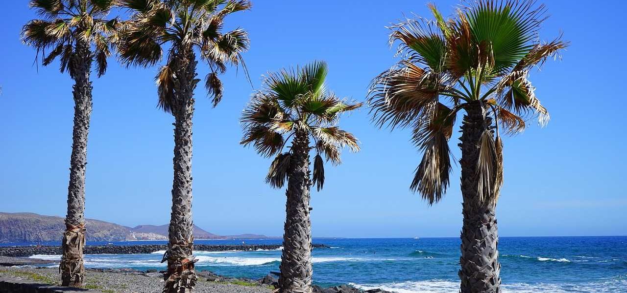 Playa de las Américas Promenade