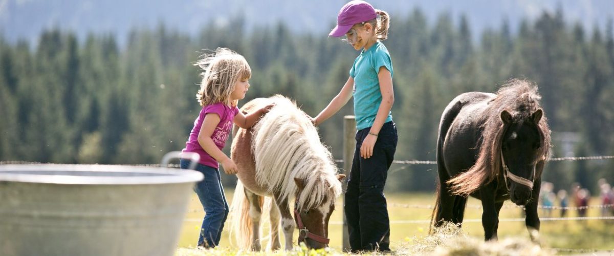 Pony streicheln Chiemgauer Bauernhof