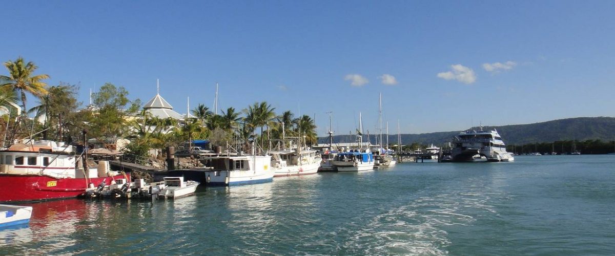 Port Douglas Boote Hafen