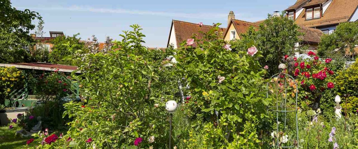 Privater Garten in Rothenburg ob der Tauber