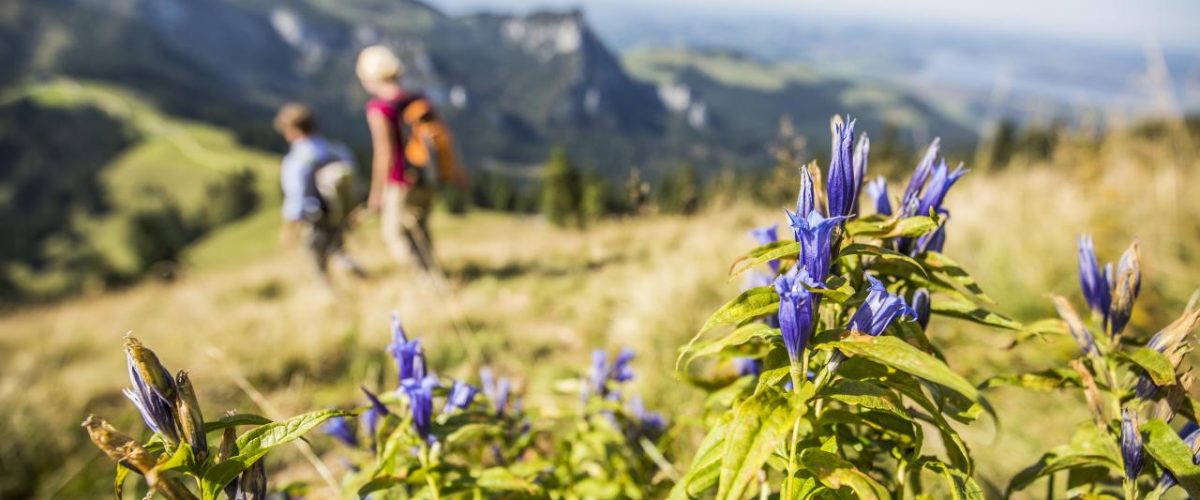 Ressourcen schonen im Chiemgau