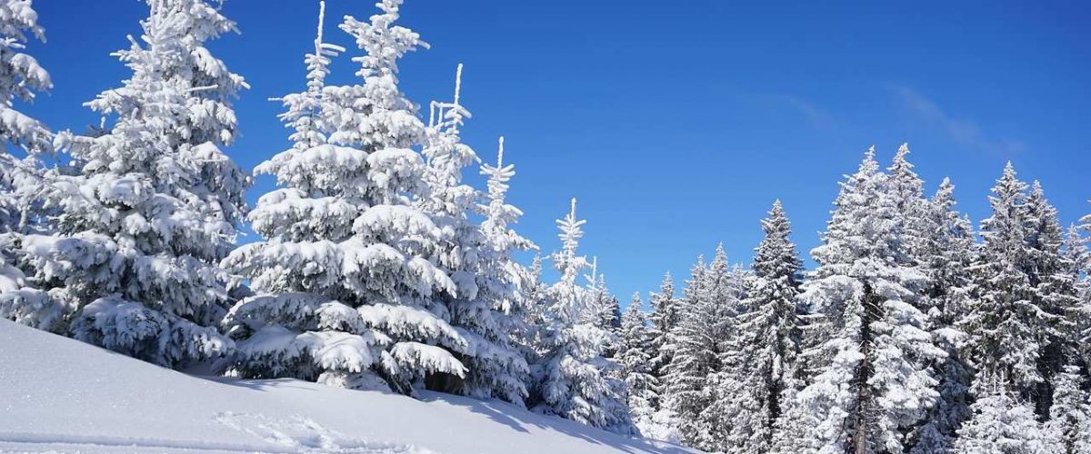 Rocky Mountains Champagne Powder