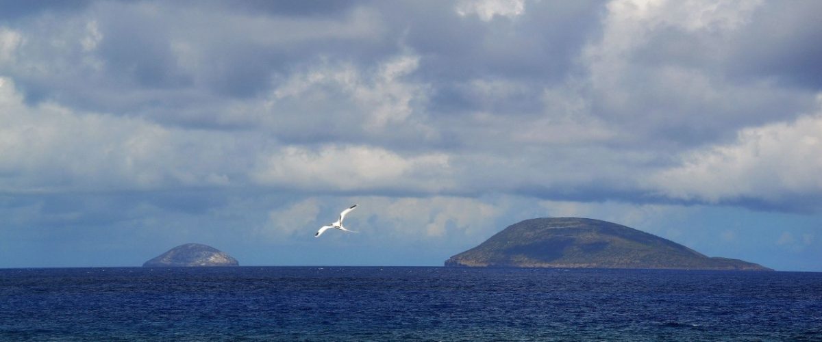 Round Island und Serpent Island Mauritius