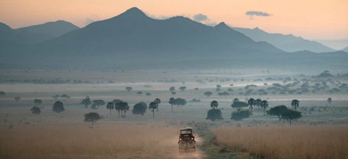 Savanne Kidepo Valley Nationalpark