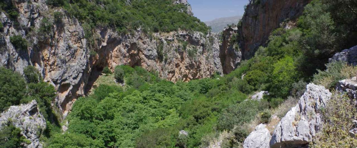 Schlucht von Patsos Vegetation