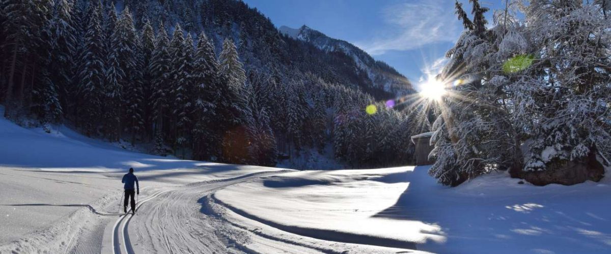 Skiloipe im Wald bei Ginzling