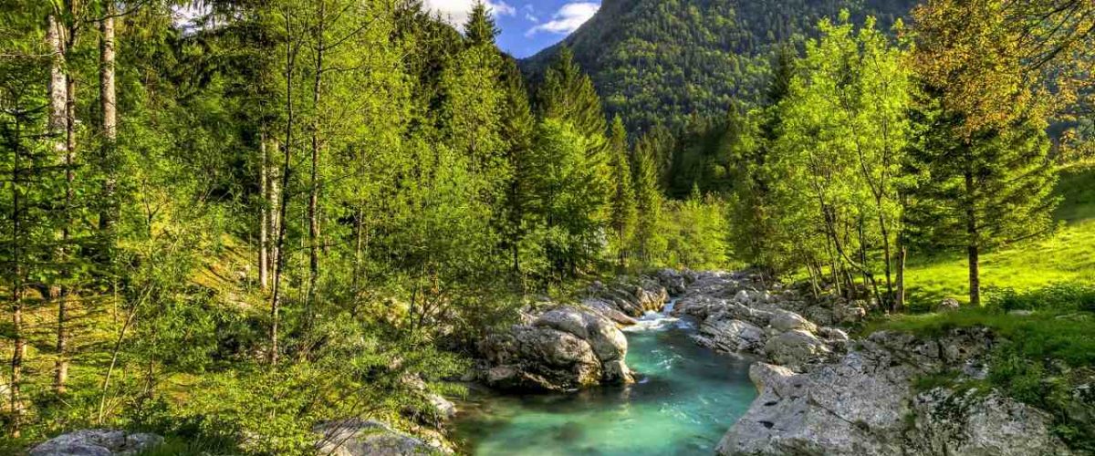 Slowenien grüne Natur