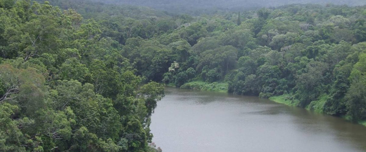 Stausee des Barron River bei Kuranda