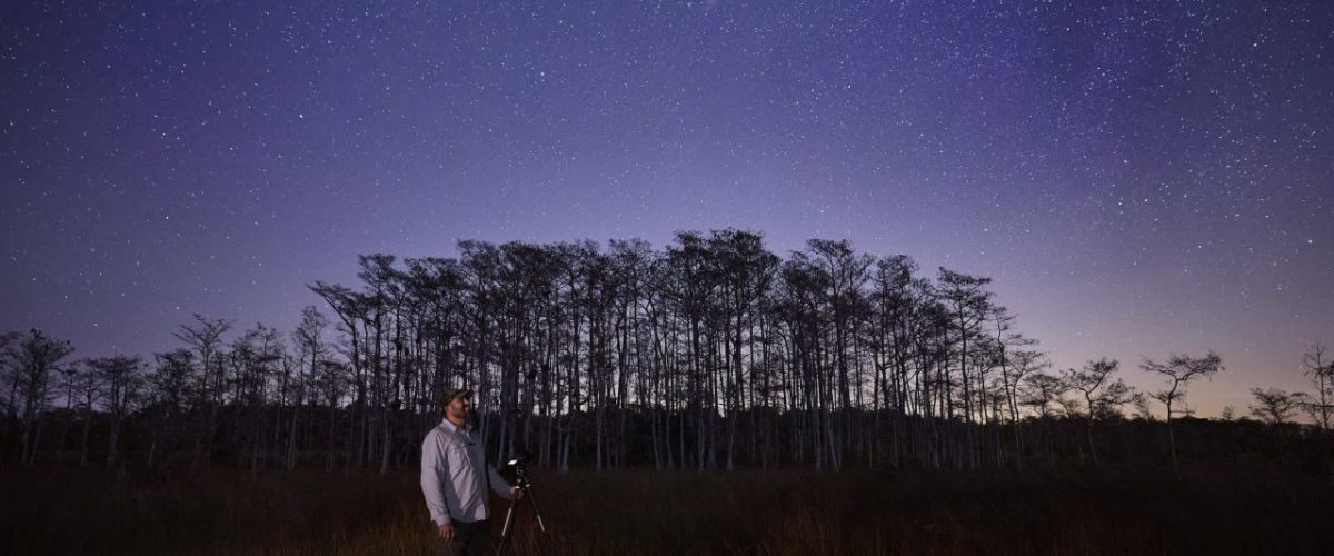 Sternenhimmel über den Everglades