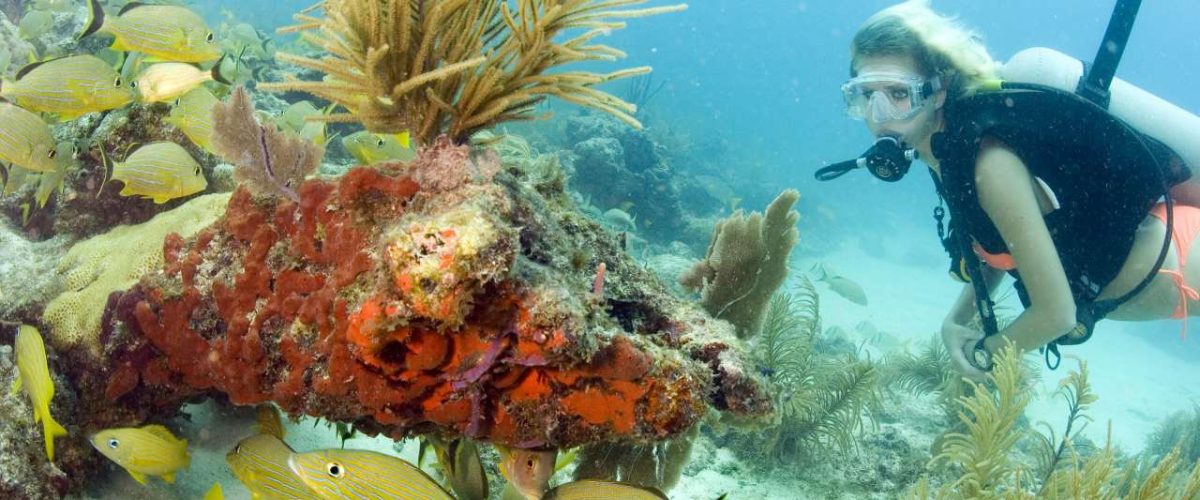 Tauchen vor Key Largo