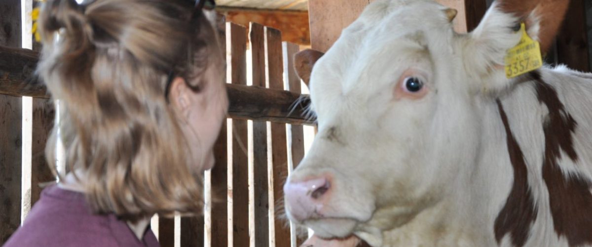 Tierpflege Freiwillig am Bauernhof