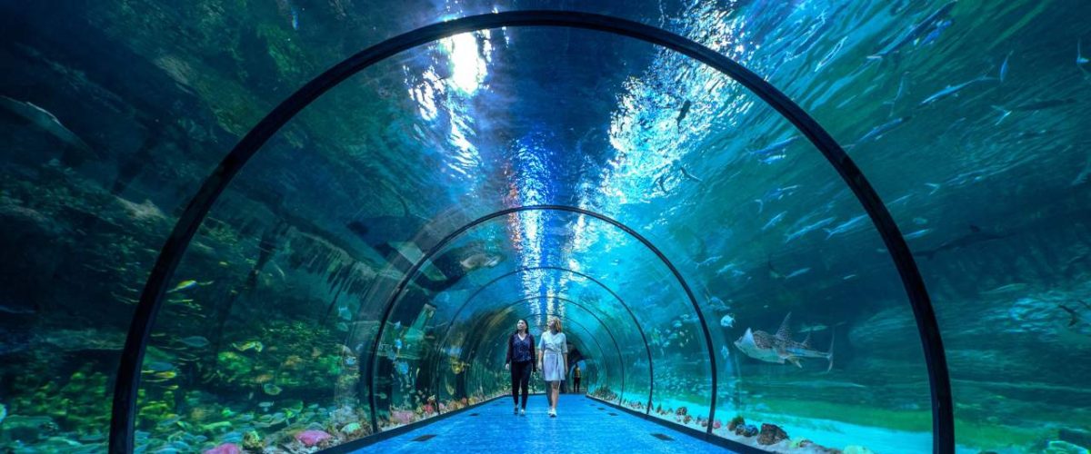 Unterwasserweg im National Aquarium Abu Dhabi