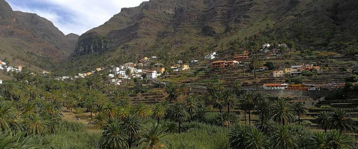 Valle Gran Rey grüne Palmenlandschaft