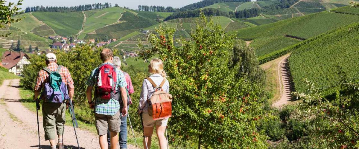 Wanderer Genießerpfad Durchbacher Weitblick