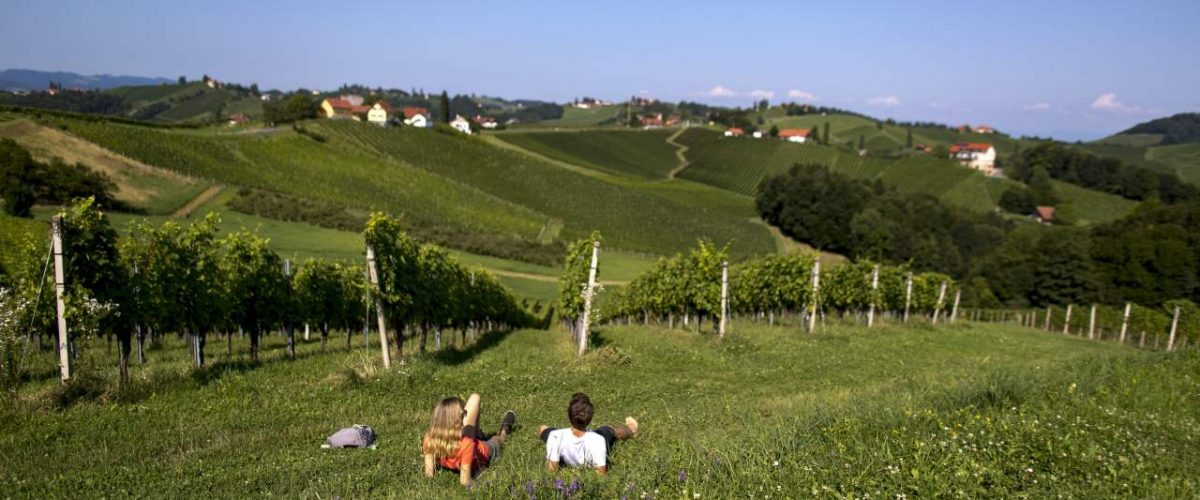 Wanderer Pause Weinstock Südsteiermark