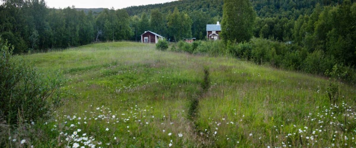 Wanderhütte im nördlichen Schweden