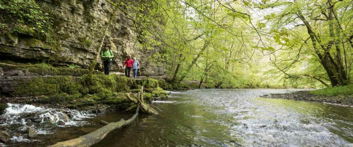 Wandern entlang der Drei Schluchten Tour im Schwarzwald