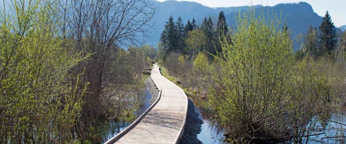 Wanderweg im Moor-Erlebnis-Pfad Inzell