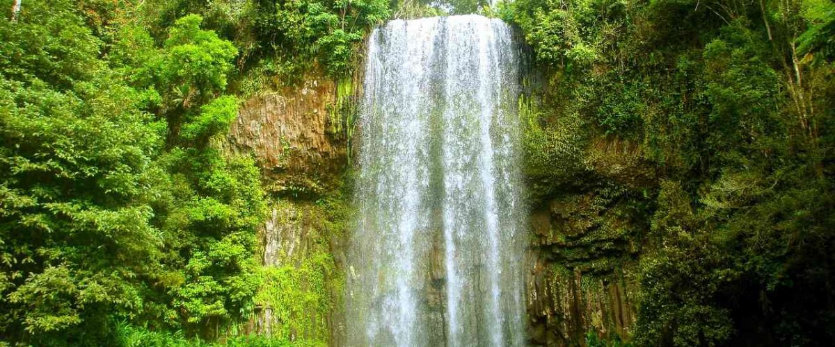 Wasserfall Regenwald Queensland