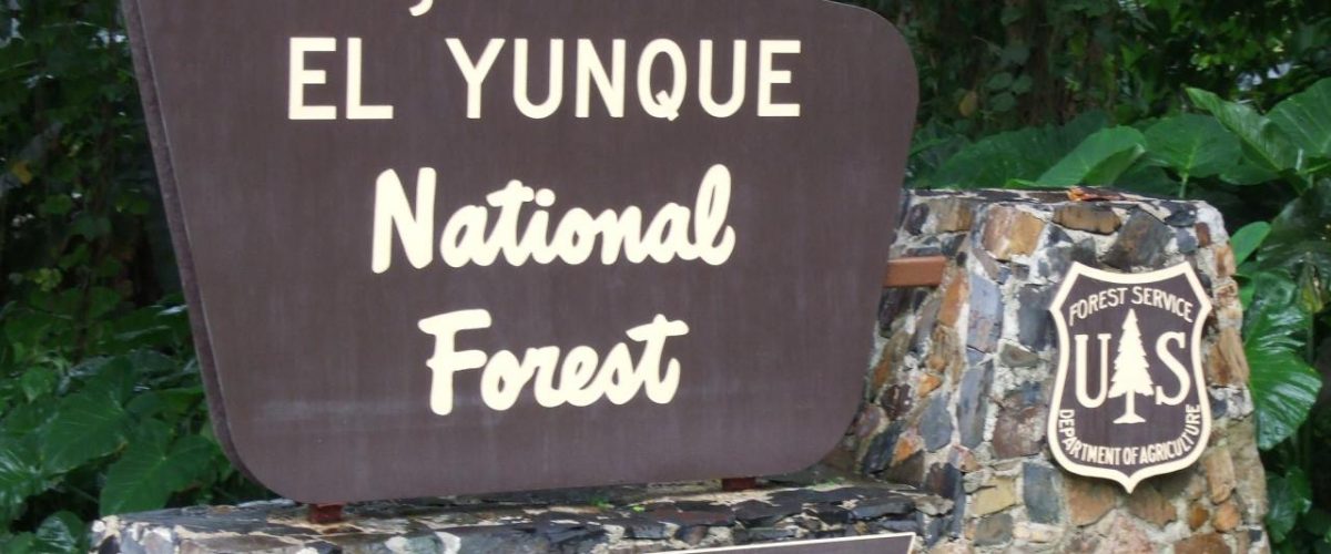Wegweiser El Yunque Tropical Rainforest