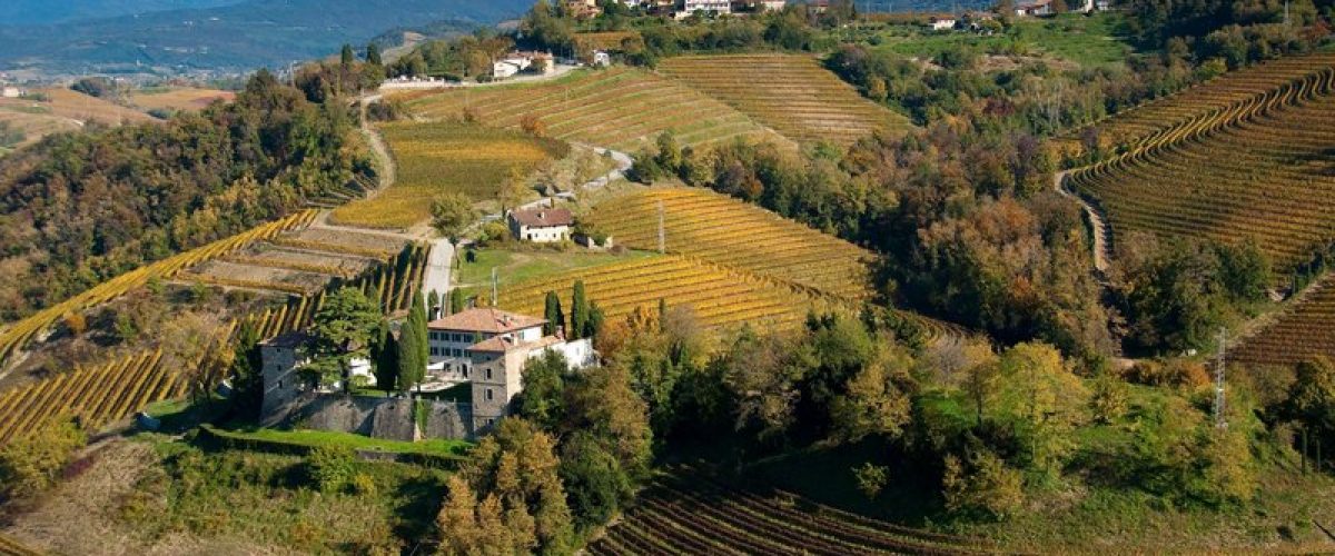Weinberge bei Ruttars