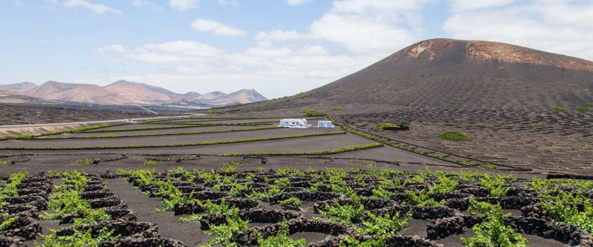 Weingut La Geria Lanzarote